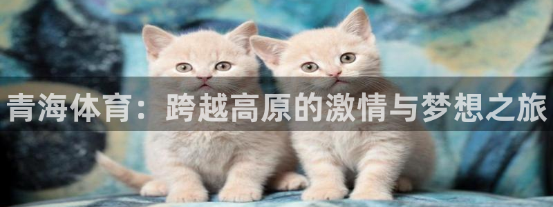 3377体育官方正版app娱乐：青海体育：跨越高原的