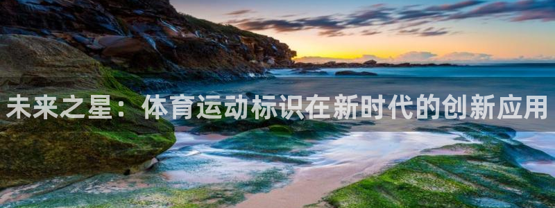 3377体育官方正版app新能源：未来之星：体育运动