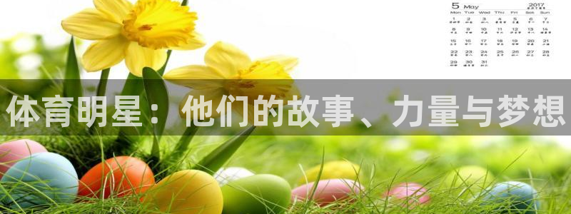 3377体育官方正版app集团：体育明星：他们的故事