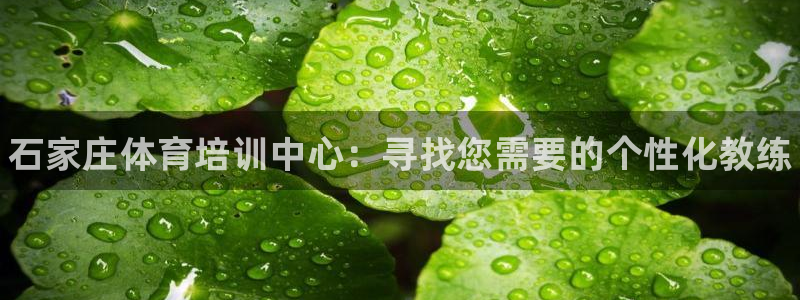 3377体育官网下载招商电话地址是多少：石家庄体育培