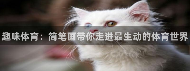 3377体育官方平台体育：趣味体育：简笔画带你走进最生动的体