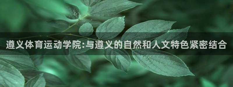 注册3377体育官方正版app：遵义体育运动学院:与遵义的自