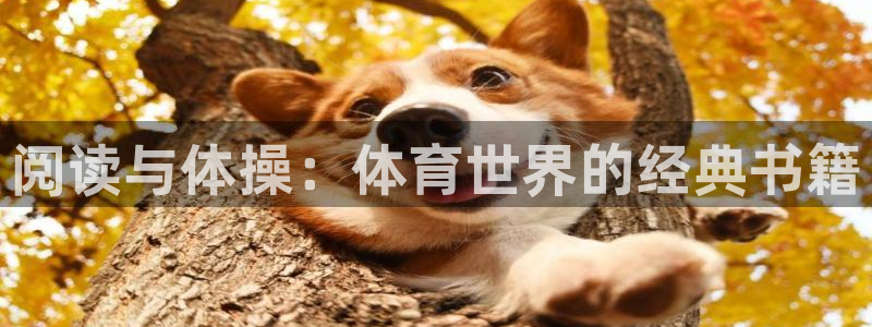 3377体育官网下载招商电话是多少号码