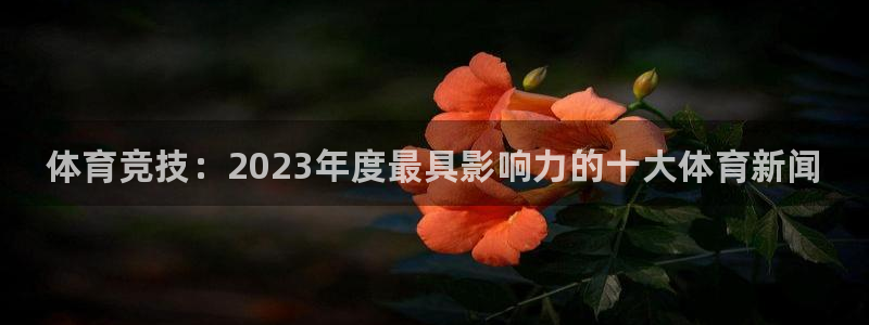 3377体育官方正版app娱乐代理怎么样：体育竞技：2023