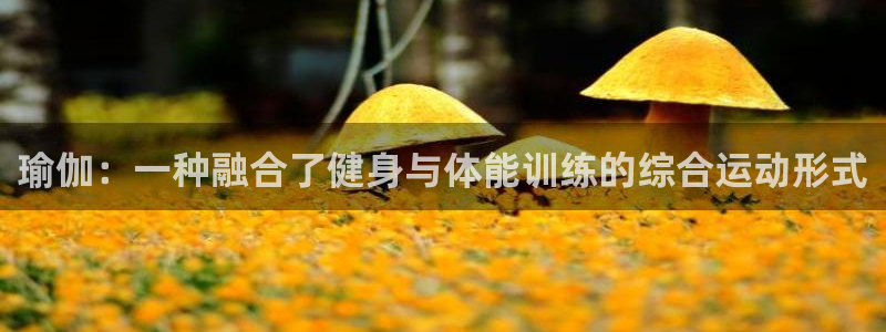 3377体育官网下载平台假的吗是真的吗吗：瑜伽：一种