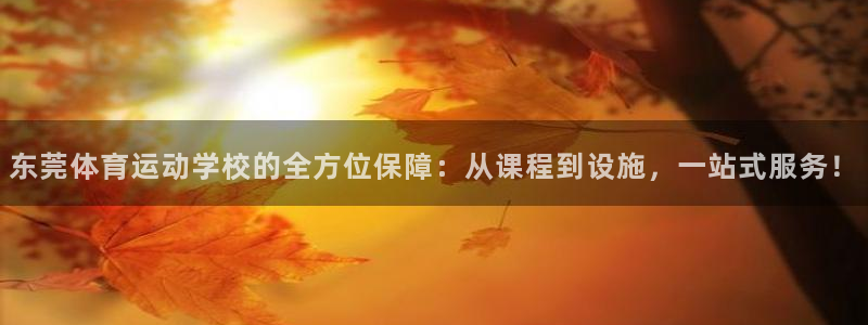 3377体育官方正版app新能源：东莞体育运动学校的全方位保