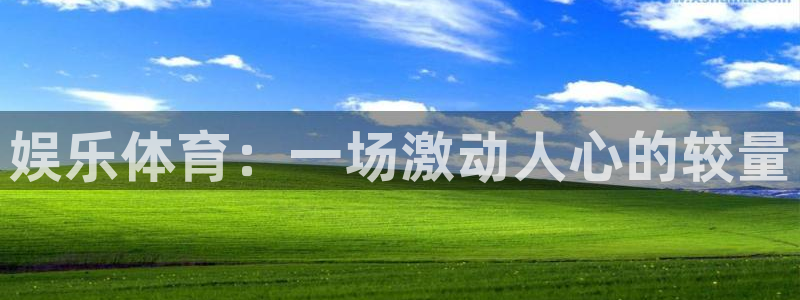 3377体育官网下载平台注册流程图：娱乐体育：一场激