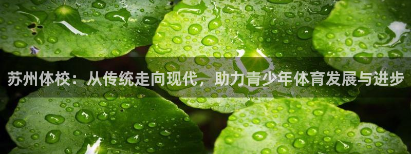 3377体育官方正版app娱乐首页官网下载：苏州体校：从传统