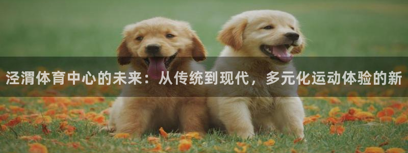 3377体育官方正版app娱乐代理怎么样