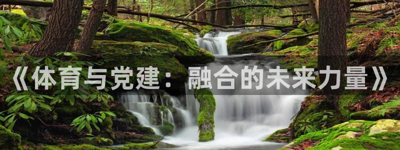3377体育官网下载平台：《体育与党建：融合的未来力量》