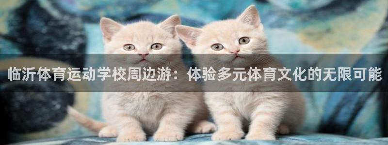 3377体育官网下载招商电话：临沂体育运动学校周边游：体验多