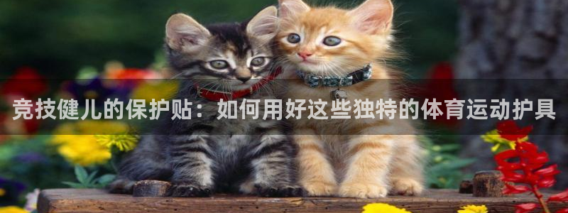 3377体育官网下载招商电话号码：竞技健儿的保护贴：如何用好