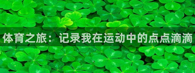 3377体育官网下载平台注册流程视频：体育之旅：记录我在运动