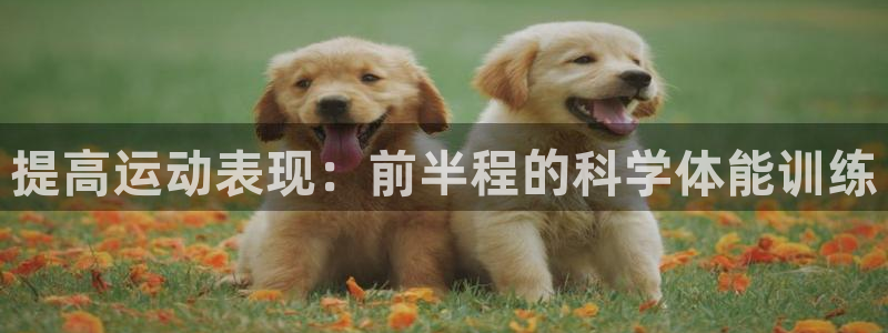 3377体育官网下载平台注册流程图：提高运动表现：前