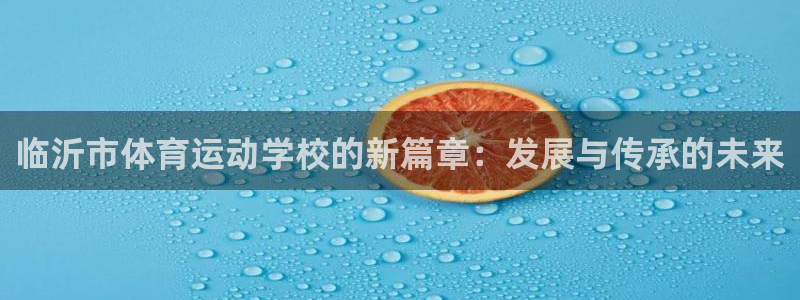 3377体育官方正版app集团logo：临沂市体育运