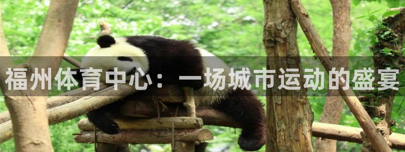 3377体育官网下载招商电话是多少：福州体育中心：一场城市运