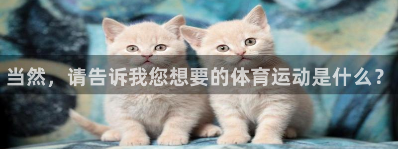 3377体育官网下载招商电话号码查询：当然，请告诉我