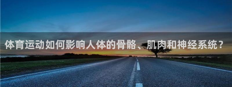 注册3377体育官方正版app