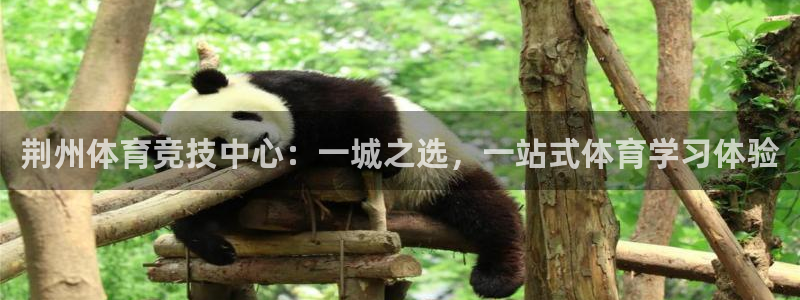 3377体育官网下载娱乐：荆州体育竞技中心：一城之选