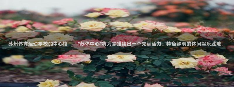 3377体育犯法吗