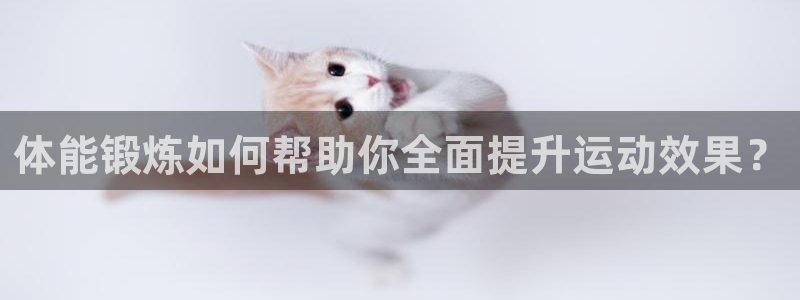  3377体育合法吗：体能锻炼如何帮助你全面提升运动效果？