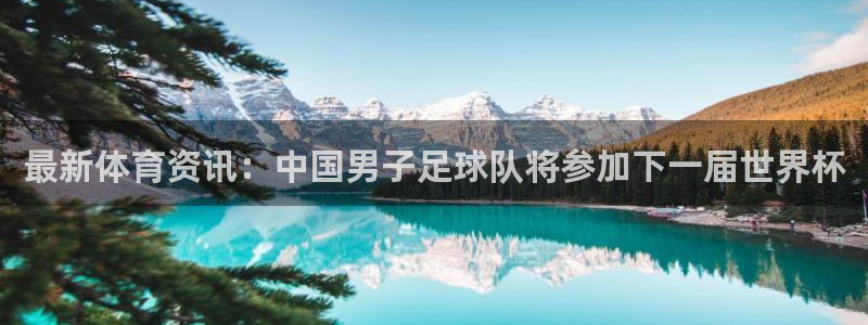  3377体育：最新体育资讯：中国男子足球队将参加下一届世界杯