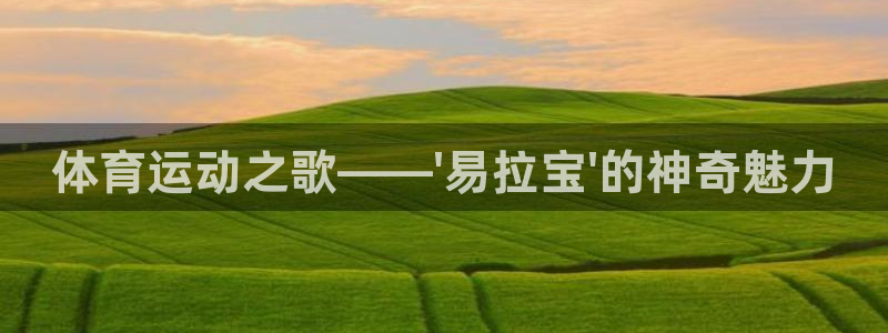  3377体育最厉害三个平台：体育运动之歌——\'易拉宝\'的