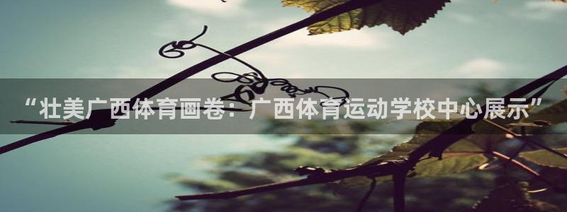 3377体育能爆吗