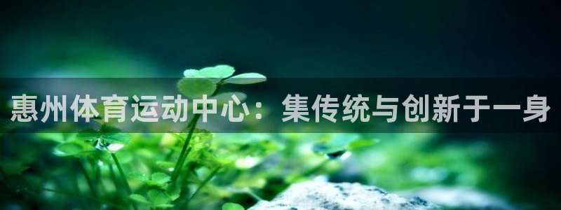 3377体育是割韭菜平台吗知乎