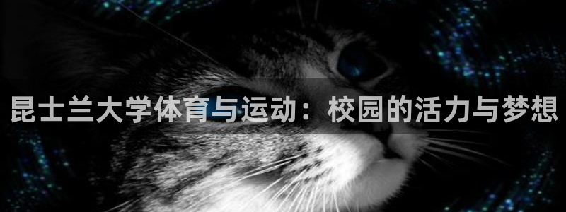 3377体育平台正规吗怎么样：昆士兰