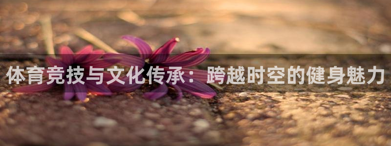 3377体育是干嘛的：体育竞技与文化传承：跨越时空的健身魅力