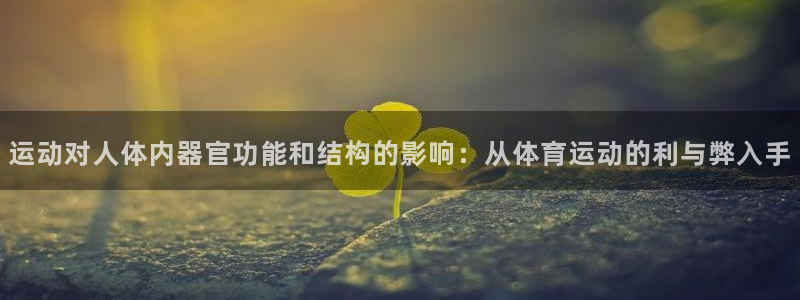3377体育app官网下载最新版本2