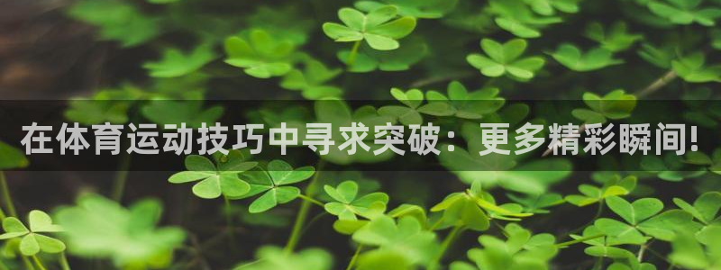  3377体育退款最新政策：在体育运动技巧中寻求突破：更多精彩