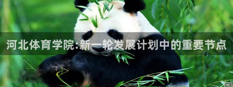 3377体育退款：河北体育学院:新一轮发展计划中的重要节点