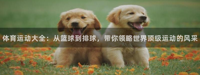 3377体育官网址