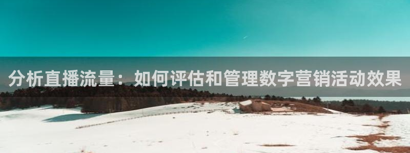 火凤体育免费直播在线观看：分析直播流量：如何评估和管理数字营销活动效果