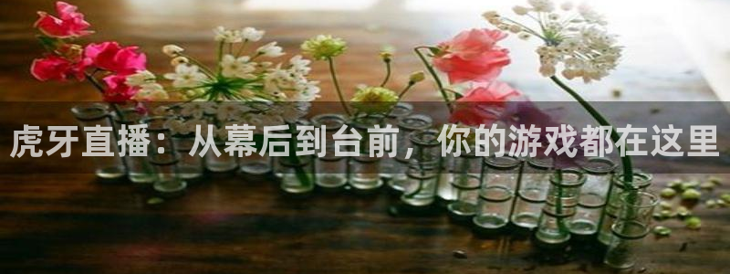 火凤足球直播：虎牙直播：从幕后到台前，你的游戏都在这里