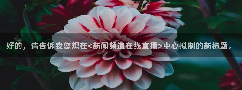 nba火凤体育免费直播：好的，请告诉我您想在<新闻频道在线直播>中心拟制的新标题。
